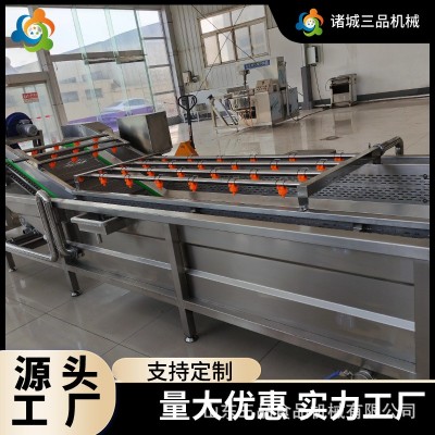 中藥材氣泡清洗機(jī)商用大型多功能氣泡清洗機(jī)