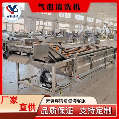 多功能氣泡清洗機 商用楊梅蔓越莓清洗機器 全自動噴淋氣泡清洗機