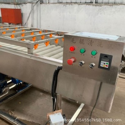 大型海蠣子清洗機(jī) 平行式毛輥清洗機(jī) 多功能毛輥清洗流水線設(shè)備