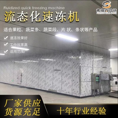速凍西蘭花加工設備流水線 花椰菜速凍機 食品連續式速凍機