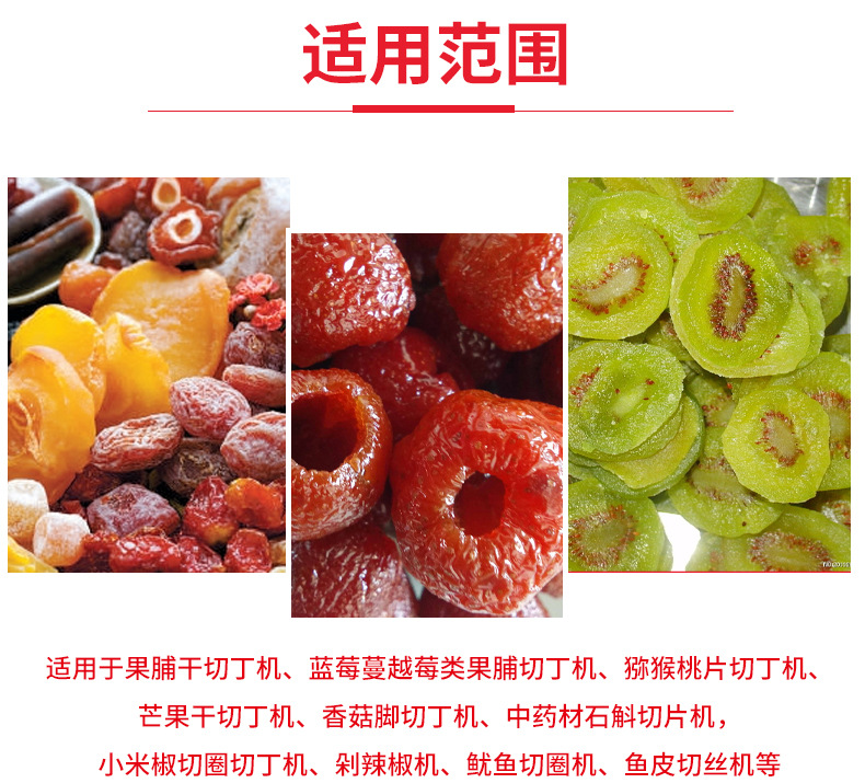 果脯切丁機(jī)_11