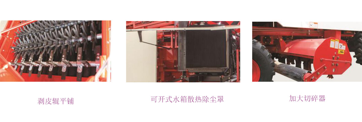 春雨CP M40細節圖