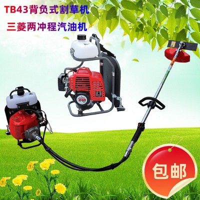 TB43背負(fù)式汽油割草機(jī) 2沖程大馬力園藝割草機(jī) 開(kāi)荒山林割灌機(jī)