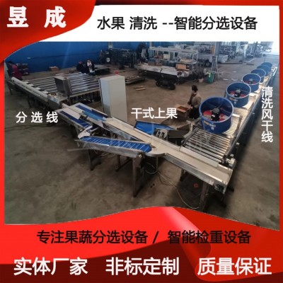 桃子柑橘清洗分選包裝設(shè)備 水果分級(jí)設(shè)備 選果分級(jí)機(jī) 自動(dòng)選果機(jī)