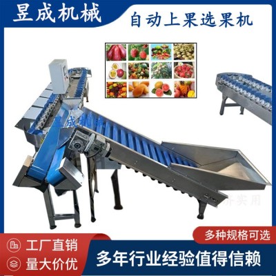 鮮食玉米重量分級(jí)輸送包裝 鮮食玉米加工生產(chǎn)線 自動(dòng)選果機(jī)