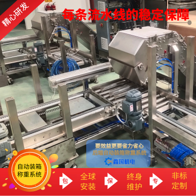 自動稱重系統(tǒng)機械 生產(chǎn)線末端稱重裝箱設備 糖果食品加工通用裝置