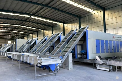 辣椒除柄機(jī)