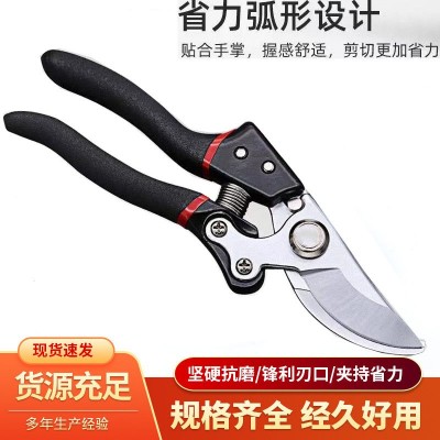 sk5超強省力修枝樹枝大號果樹粗枝剪家用園林剪強力花木不銹鋼剪