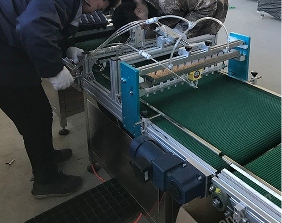 使用穴盤播種機脫盤和存放過程有哪些注意事項