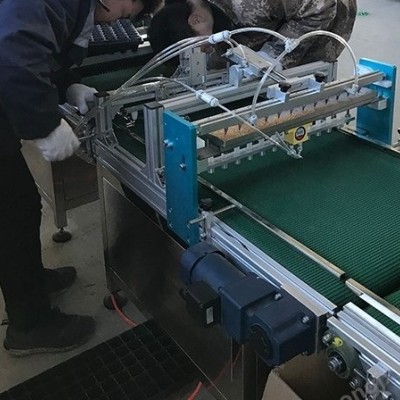 使用穴盤(pán)播種機(jī)脫盤(pán)和存放過(guò)程有哪些注意事項(xiàng)