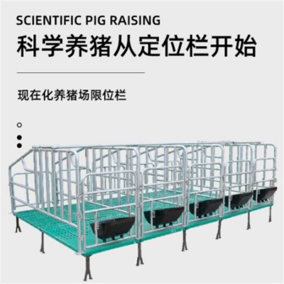 復合板限位欄 熱鍍鋅母豬定位欄 落地式限位 欄