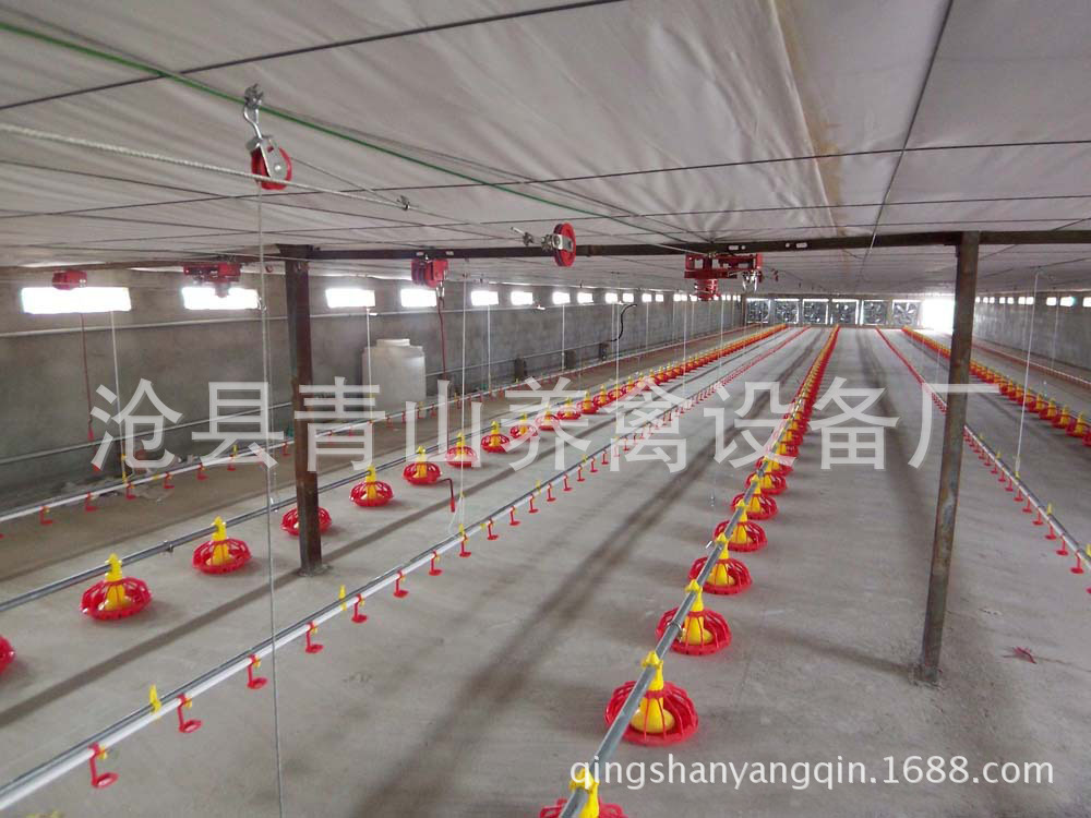 供應養雞料線 全自動養雞料線 肉雞養殖設備 平養雞料線 水線