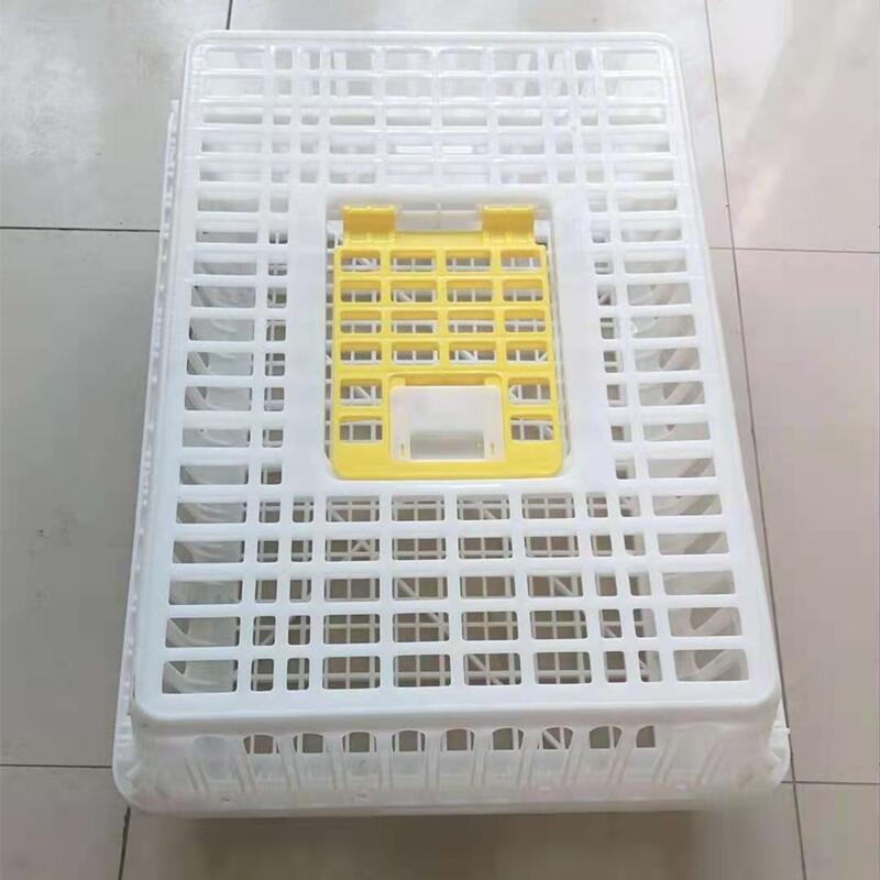 定制雞籠周轉(zhuǎn)箱塑料雞箱運(yùn)輸籠周轉(zhuǎn)籠 鴿兔家禽運(yùn)輸籠周轉(zhuǎn)筐 雞筐