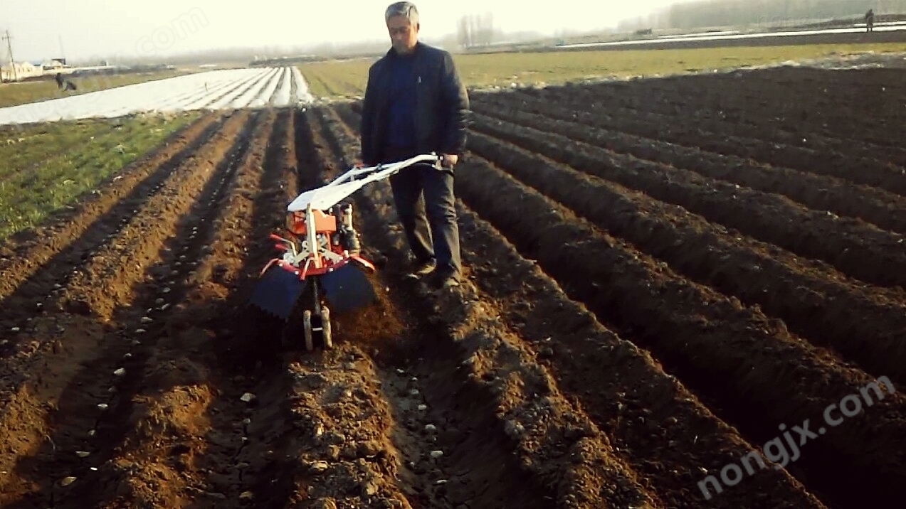 土豆開(kāi)溝起壟機(jī)