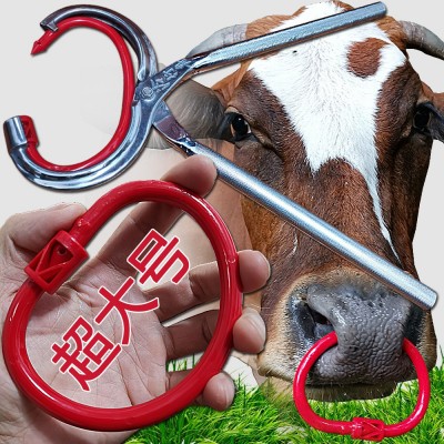 廠家直銷特大號養(yǎng)牛器械設備 牛鼻環(huán)牛鼻圈 牛鼻鉗子穿孔打孔鉗子