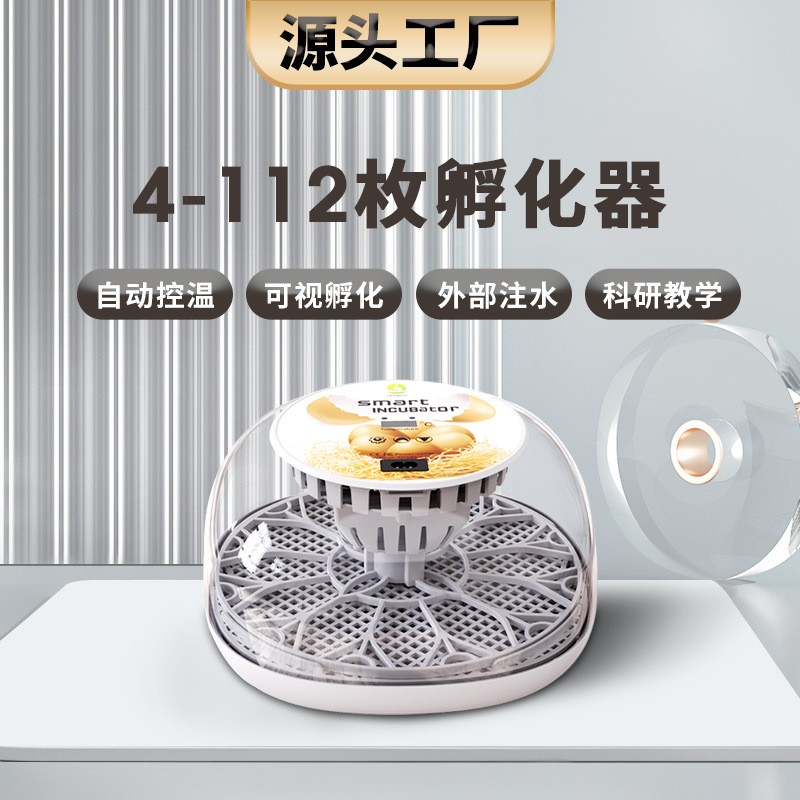 工廠直供12枚科學教研孵蛋器家禽雞蛋孵化器小雞養(yǎng)殖孵化設備機器