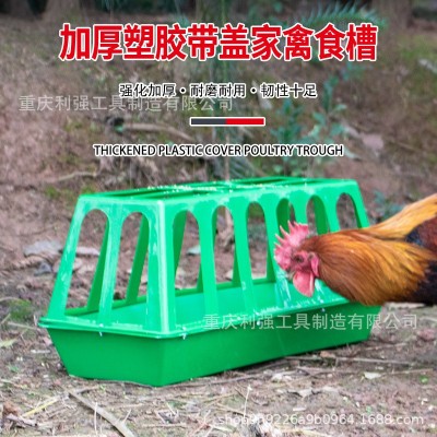 養殖設備自動喂雞鴨槽長型喂雞喂鵝喂鴨塑料喂水槽家用飼料通加厚