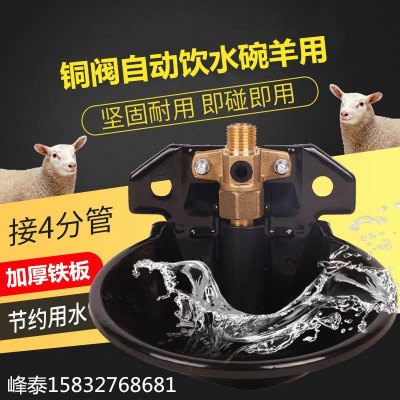 羊喝水自動飲水器豬牛羊飲水盆喝水槽鐵羊碗羊用自動飲水碗銅閥
