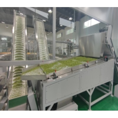 毛尖茶生產線