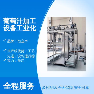 恒立宇 工業(yè)化葡萄汁加工設(shè)備 飲料 果酒加工 1-5T/H