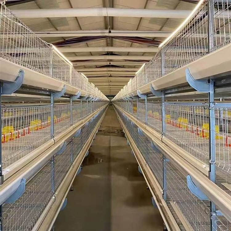 肉雞籠養(yǎng)設(shè)備全自動(dòng)肉雞籠養(yǎng)雞設(shè)備 養(yǎng)殖場可用管理方便
