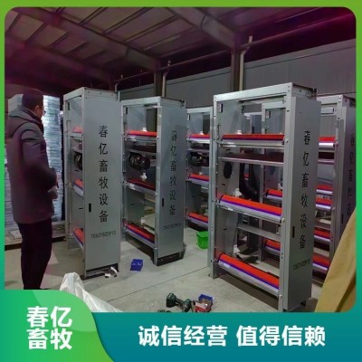 定制層疊式雞籠養(yǎng)殖設(shè)備 四層養(yǎng)雞場(chǎng)全自動(dòng)蛋雞籠 源頭廠家