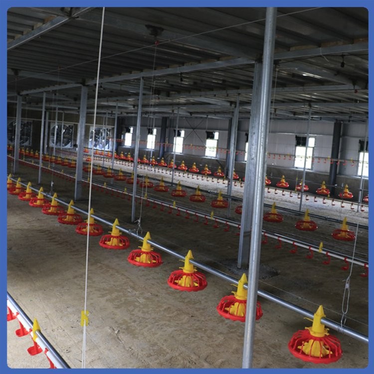 養雞水線 喂養設備 不易變形 發貨較快 拆裝簡便