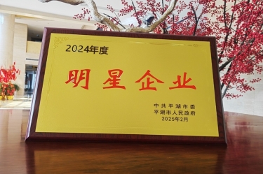 新春新景新氣象 | 景興紙業(yè)在平湖三干大會上喜摘榮譽！